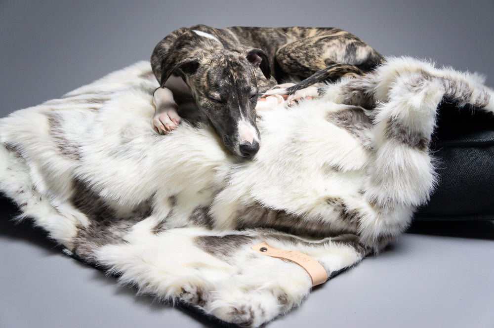 Plaids et couvertures pour chiens