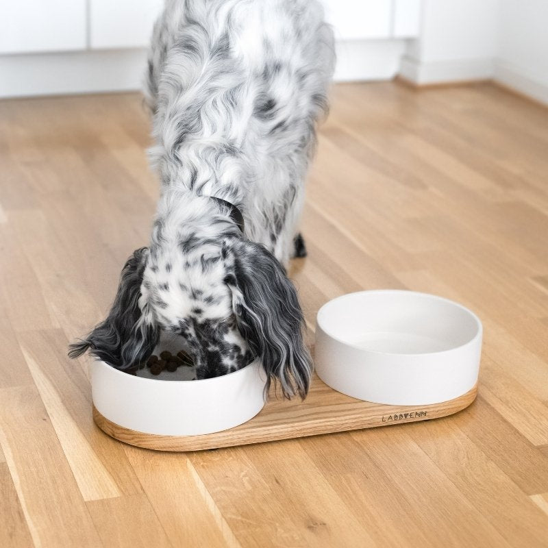 Supports gamelles pour chien