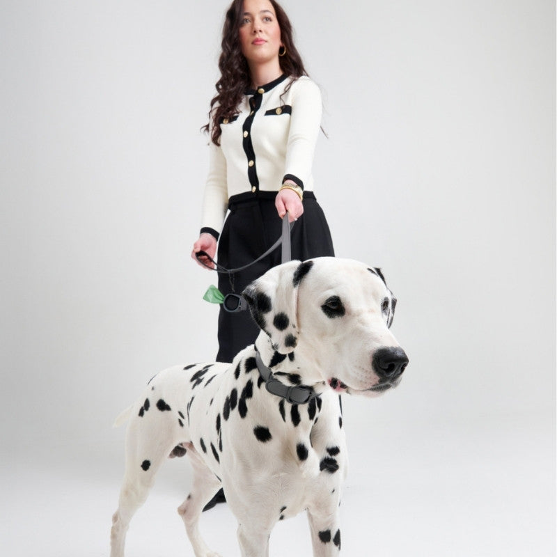 CANNES - Collier pour chien en cuir anthracite