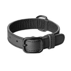 Collier pour Chien en Cuir Anthracite Petite Taille