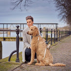 Collier pour Chien en Cuir Beige Promenade