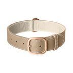 Collier pour Chien en Cuir Beige