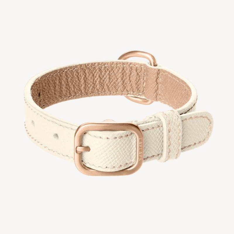 Collier pour Chien en Cuir Blanc Petite Taille