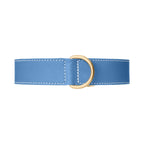 Collier pour Chien en Cuir Bleu Ceinture