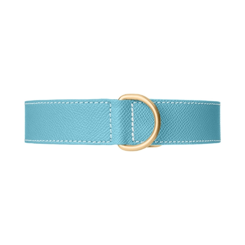 Collier pour Chien en Cuir Bleu Clair Ceinture