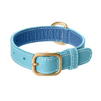 Collier pour Chien en Cuir Bleu Clair Petite Taille