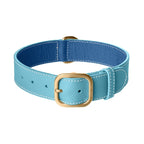 Collier pour Chien en Cuir Bleu Clair