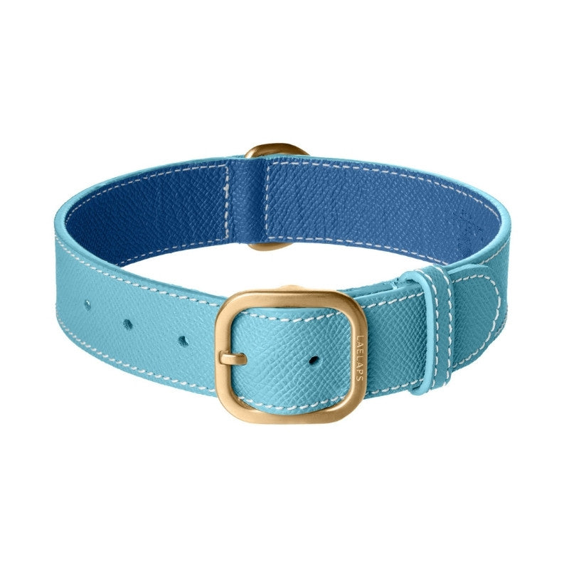 Collier pour Chien en Cuir Bleu Clair