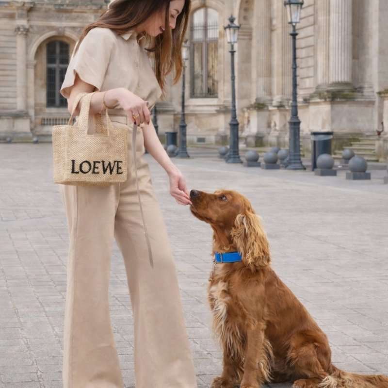 CANNES - Collier pour chien en cuir bleu