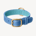 Collier pour Chien en Cuir Bleu Petite Taille