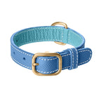 Collier pour Chien en Cuir Bleu Petite Taille