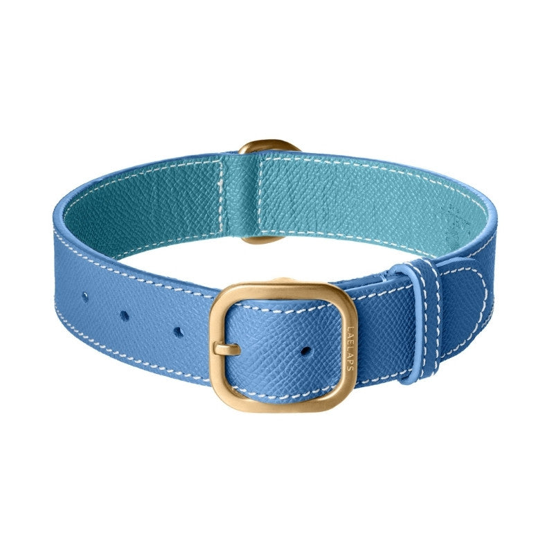 Collier pour Chien en Cuir Bleu 