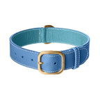 Collier pour Chien en Cuir Bleu 