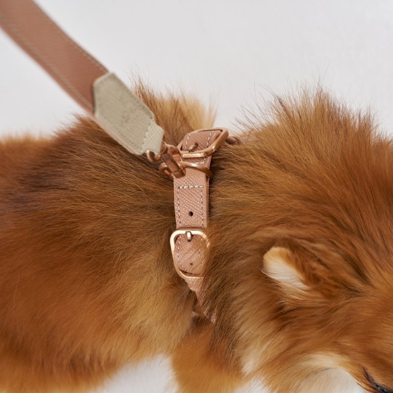 CANNES - Collier pour chien en cuir camel