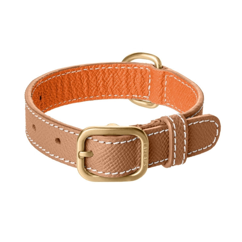 Collier pour Chien en Cuir Camel Boucle Petite Taille