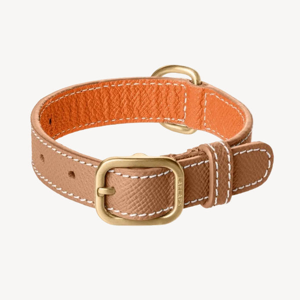 CANNES - Collier pour chien en cuir camel