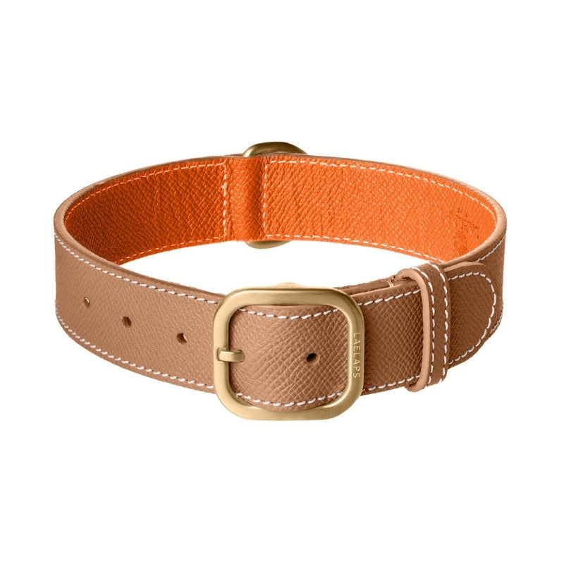 Collier pour Chien en Cuir Camel