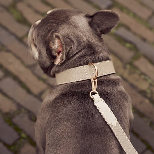 CANNES - Collier pour chien en cuir gris clair