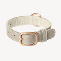 Collier pour Chien en Cuir Gris Clair Petite Taille