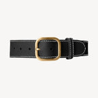 Collier pour Chien en Cuir Noir Ceinture