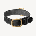 Collier pour Chien en Cuir Noir Petite Taille