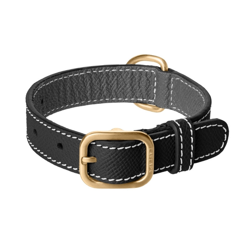 Collier pour Chien en Cuir Noir Petite Taille