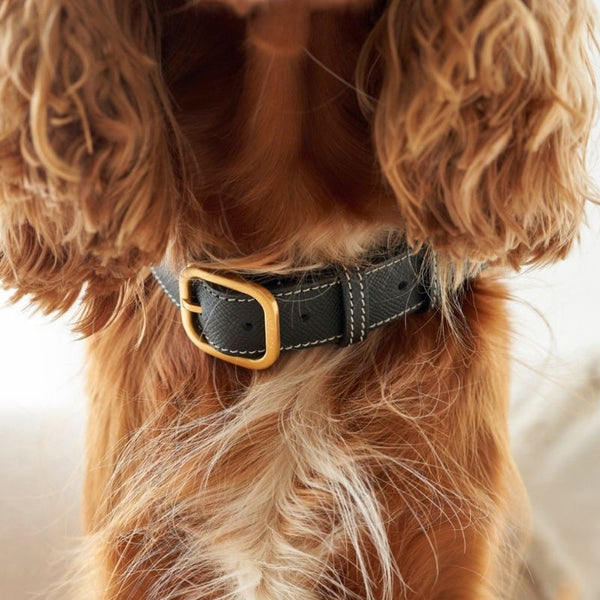 CANNES - Collier pour chien en cuir noir