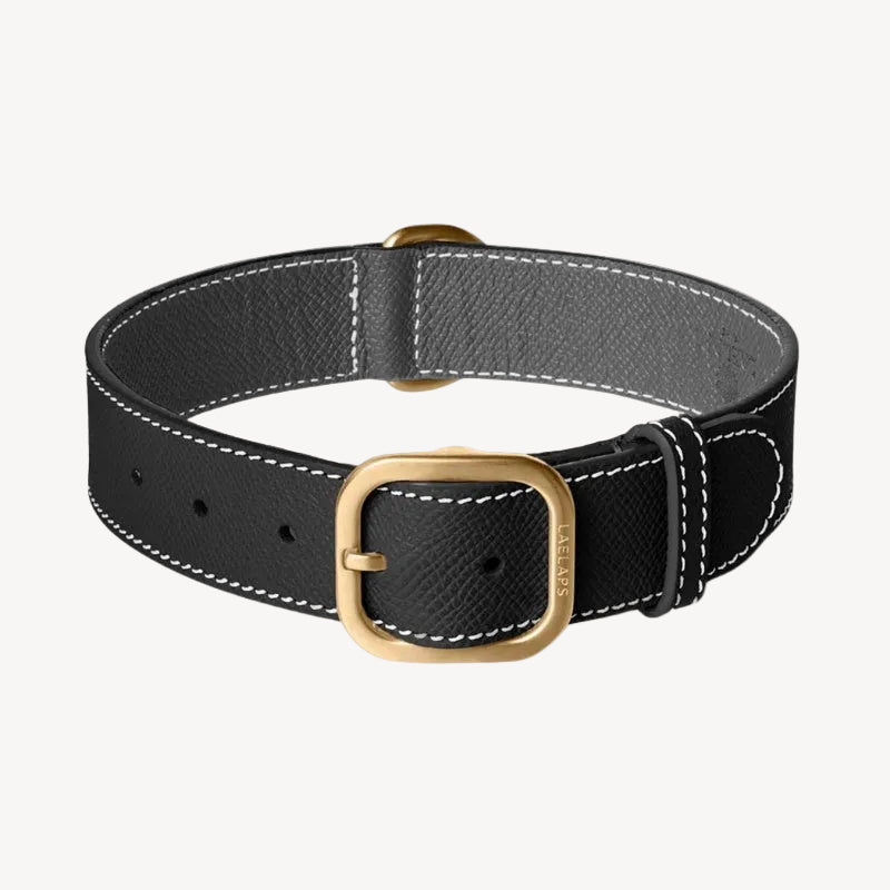 Collier pour Chien en Cuir Noir 