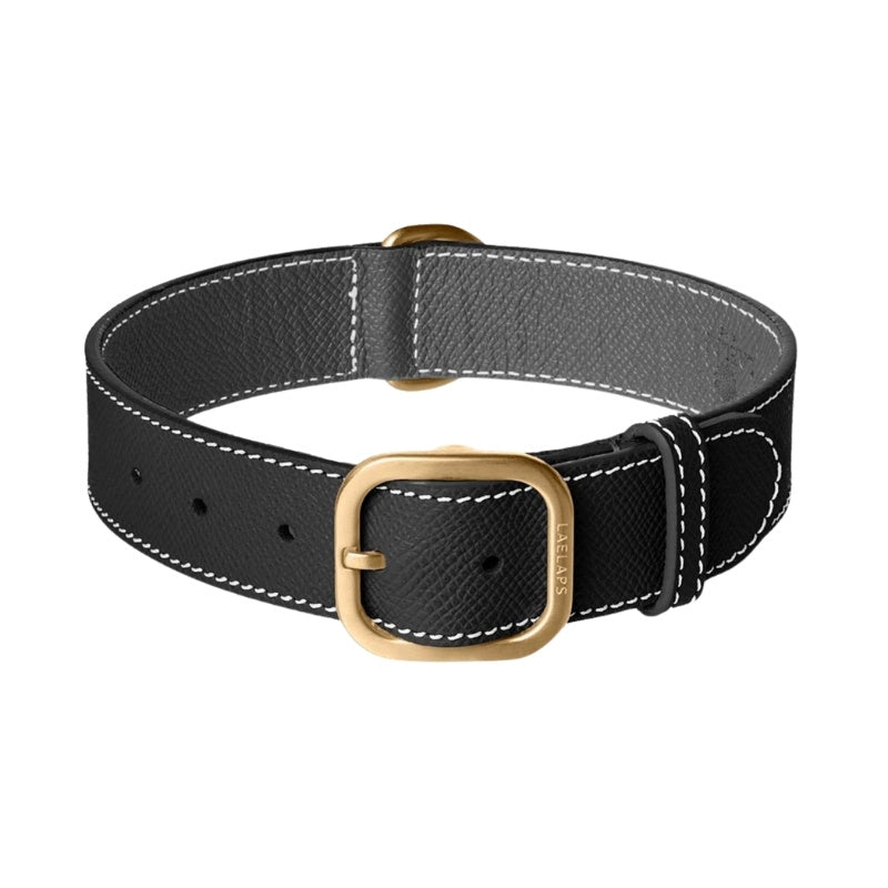 Collier pour Chien en Cuir Noir 