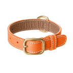 Collier pour Chien en Cuir Orange Petit Taile