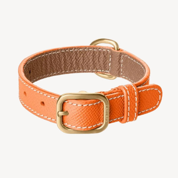 CANNES - Collier pour chien en cuir orange