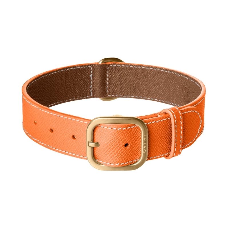 Collier pour Chien en Cuir Orange