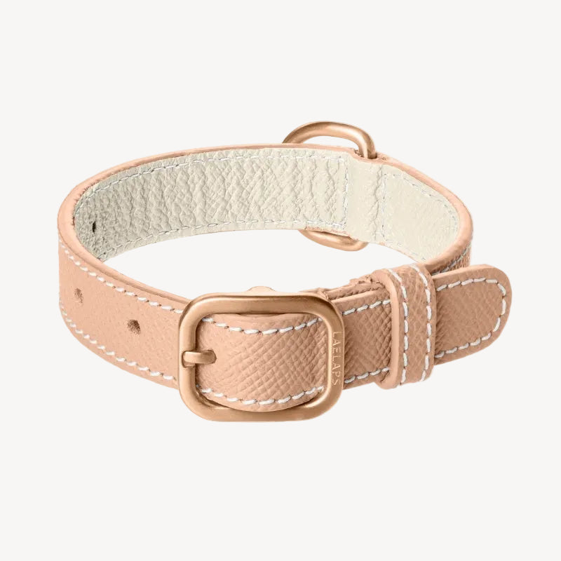 Collier pour Chien en Cuir Rose Petite Taille