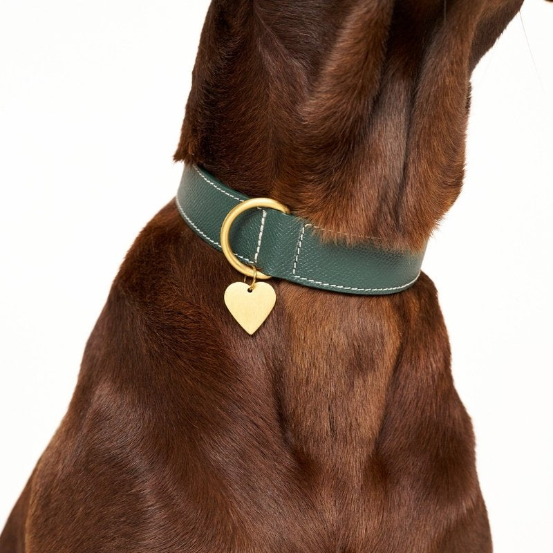 CANNES - Collier pour chien en cuir vert