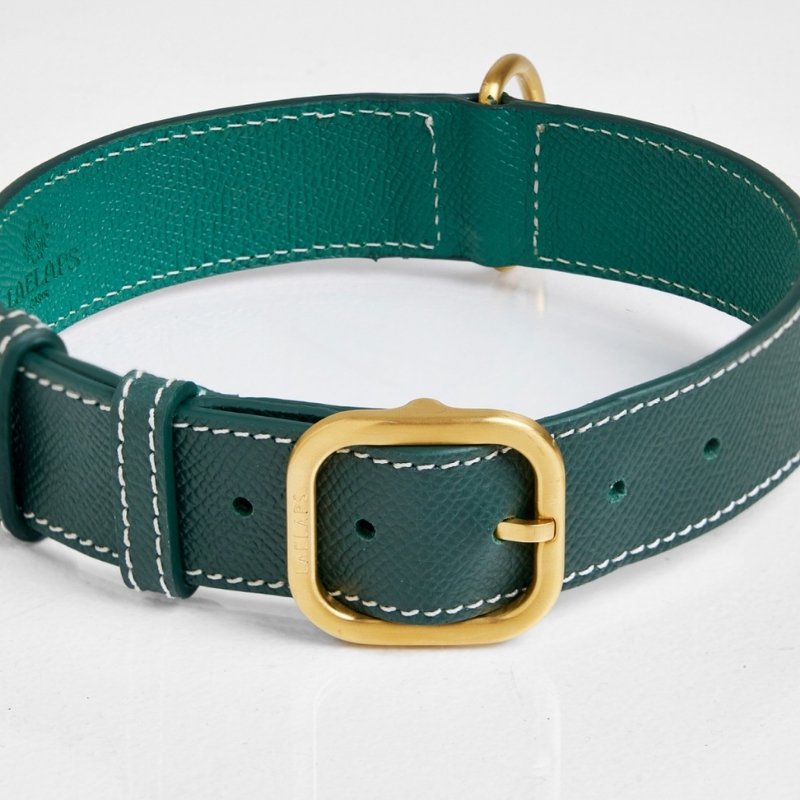Collier pour Chien en Cuir Vert Détails