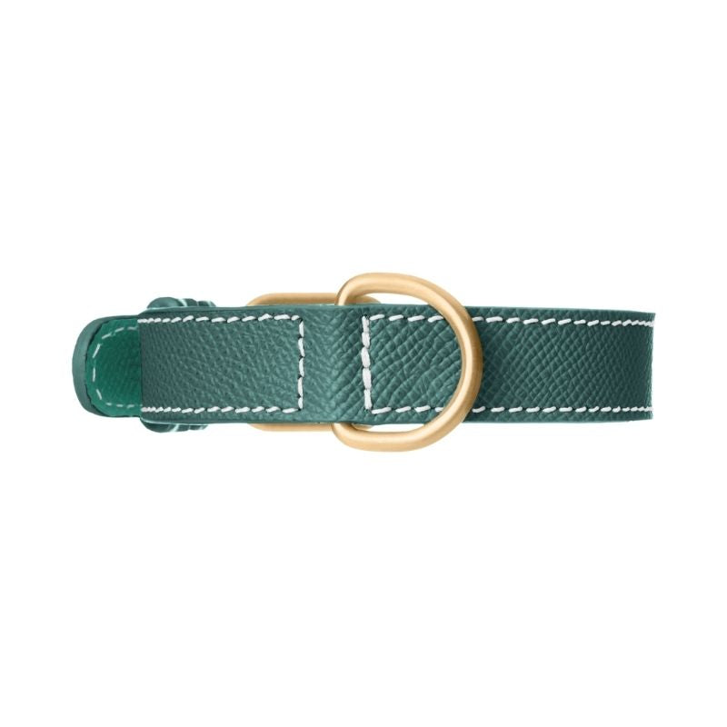 Collier pour Chien en Cuir Vert Petite Taille Ceinture