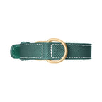 Collier pour Chien en Cuir Vert Petite Taille Ceinture