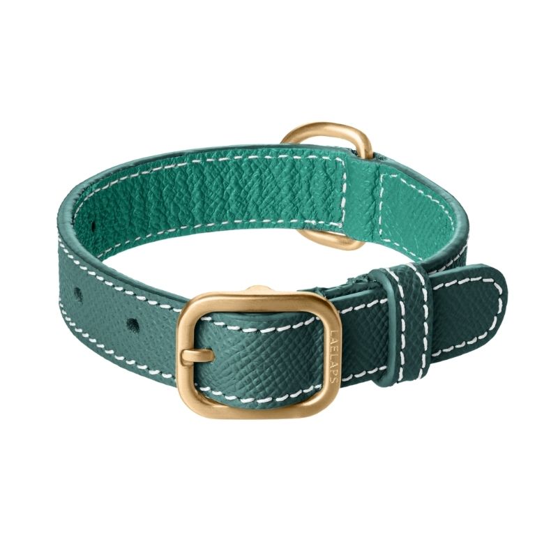 Collier pour Chien en Cuir Vert Petite Taille