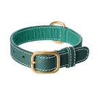Collier pour Chien en Cuir Vert Petite Taille