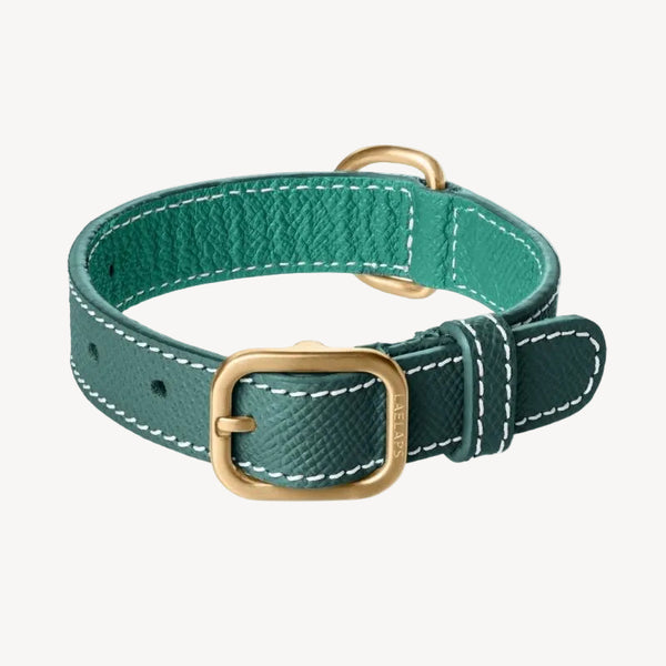 CANNES - Collier pour chien en cuir vert