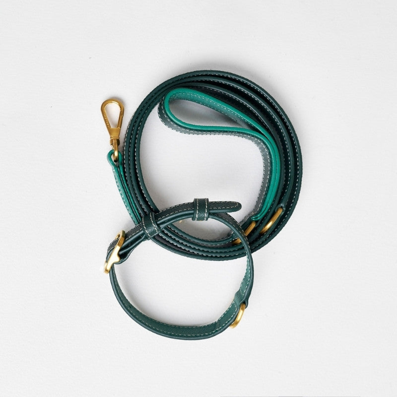 Collier pour Chien en Cuir Vert avec Laisse