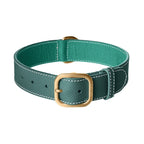 Collier pour Chien en Cuir Vert 