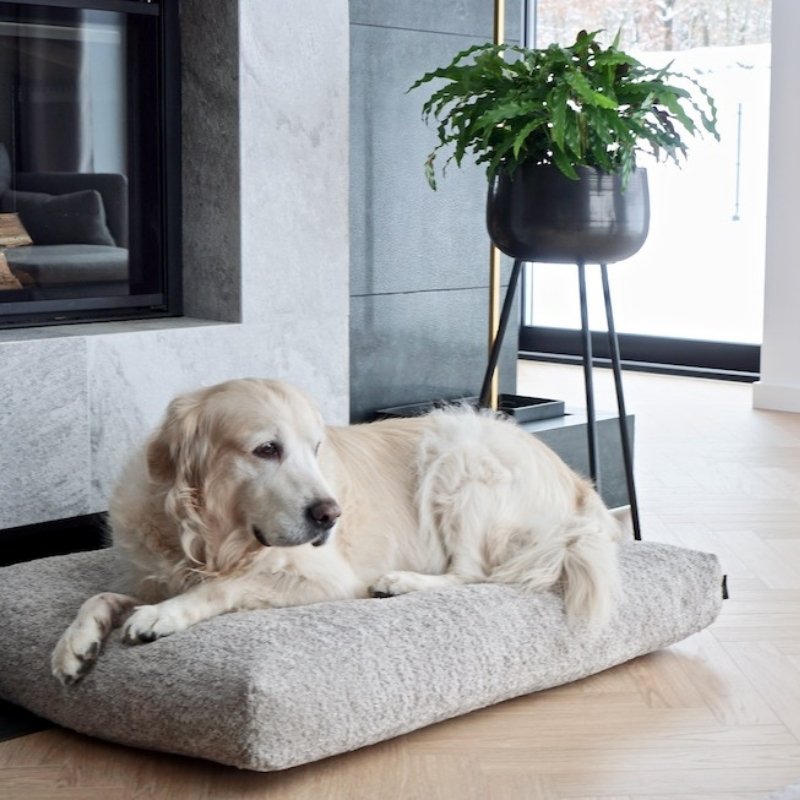 BUKLAA - Coussin anti-stress pour chien