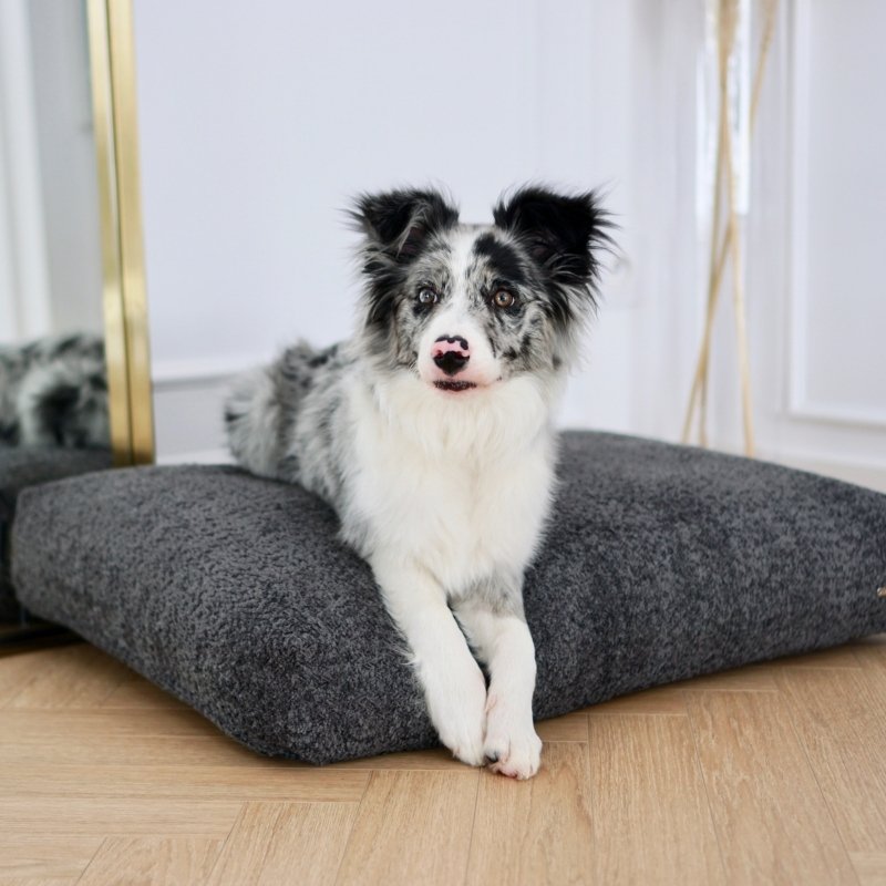 Coussin Anti-Stress pour Chien Couchage