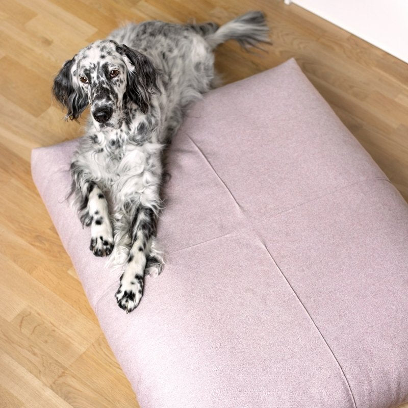 Coussin Imperméable pour Chien Confortable