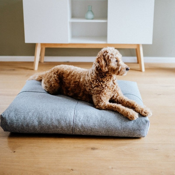 FINNO - Coussin imperméable pour chien