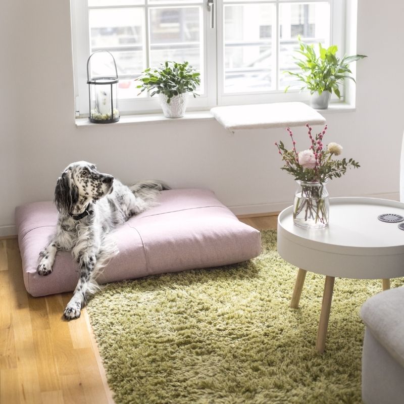 Coussin Imperméable pour Chien Design