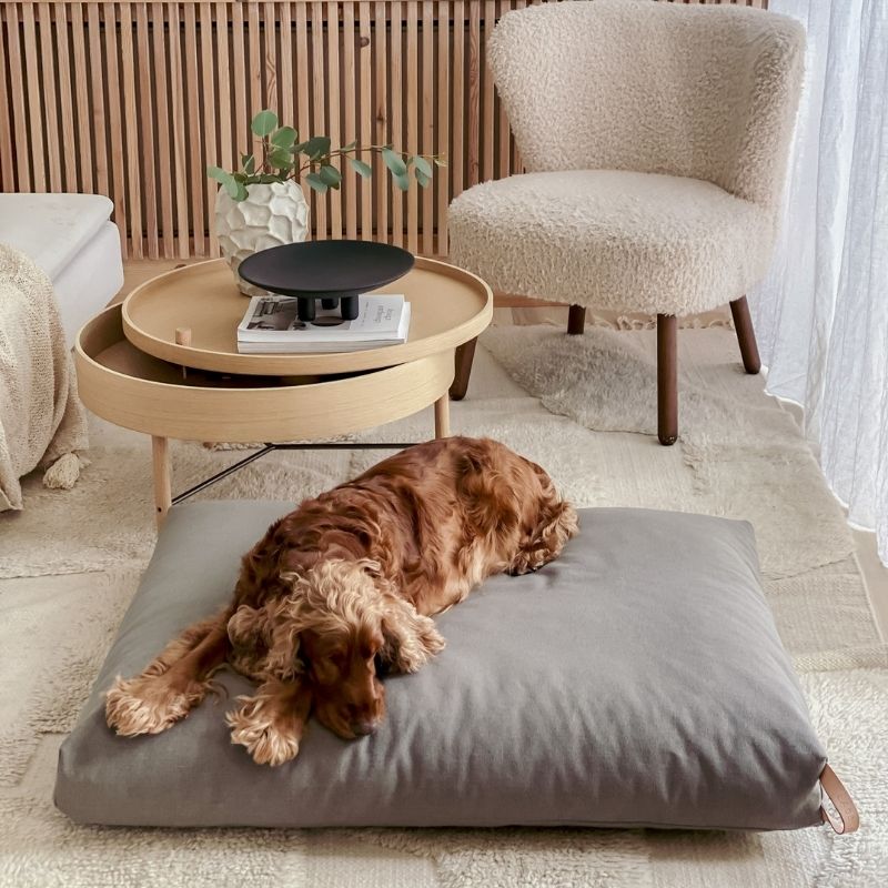 Coussin Lavable pour Chien Couchage