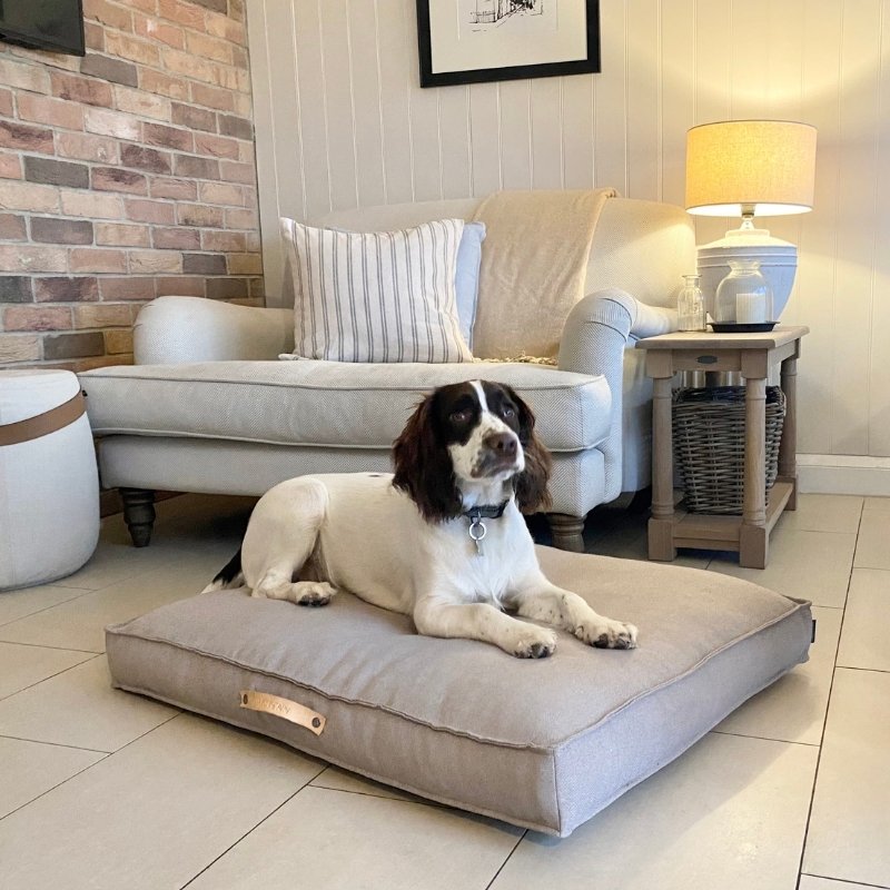 TÖVE - Coussin pour grand chien