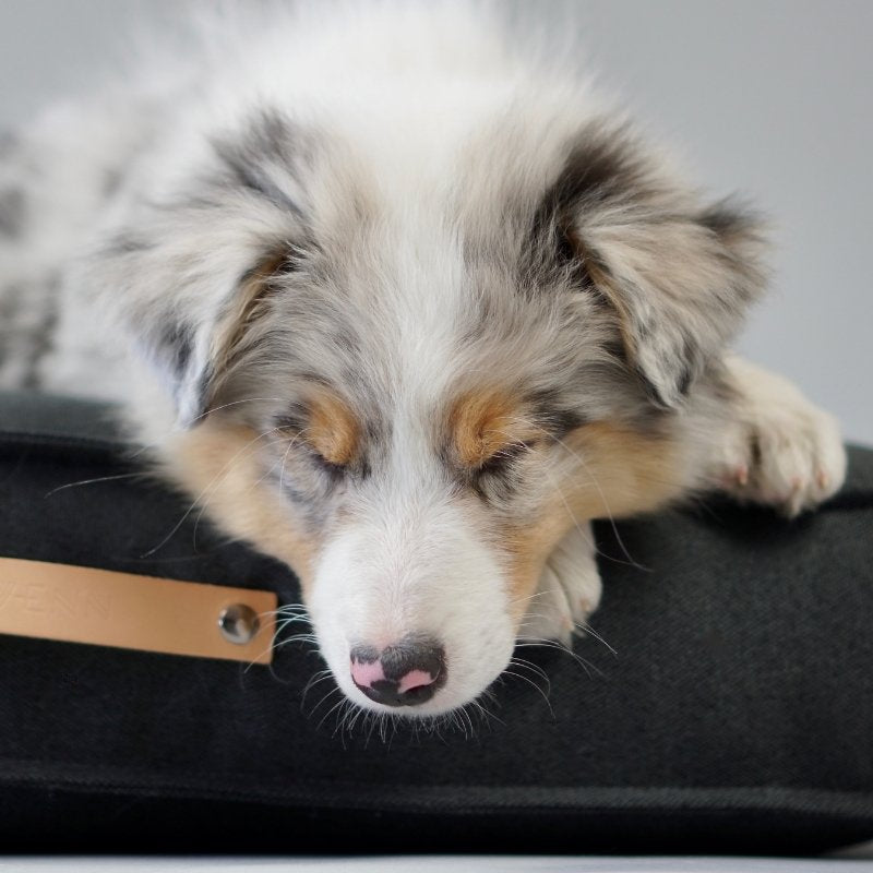 TÖVE - Coussin pour grand chien
